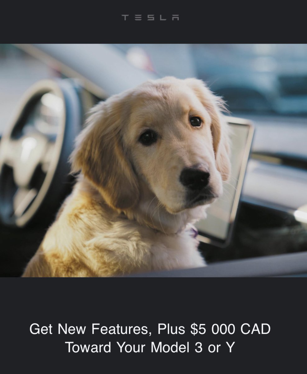 productionteams's tweet photo. Is the puppy a sign of how bad sales are? https://t.co/oIQiLNVegE