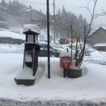 ツイートに含まれる画像