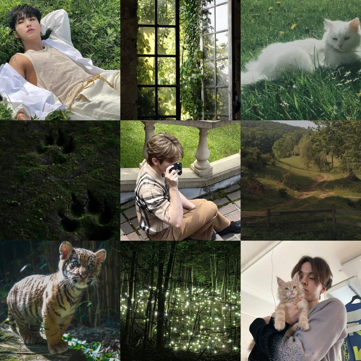 🐈‍⬛soonyoung + vernon + jihoon
🐾sequel work/shapeshifters verse
🐅10.5k
🌴about how home is important, family is chosen, and a certain catboy origin story...
🥘written for <a href="/SMadd9/">p.e.z.z.a.x</a> as part of <a href="/FTHKPOP/">FTH K-pop ❤️</a>!
❄archiveofourown.org/works/43717126