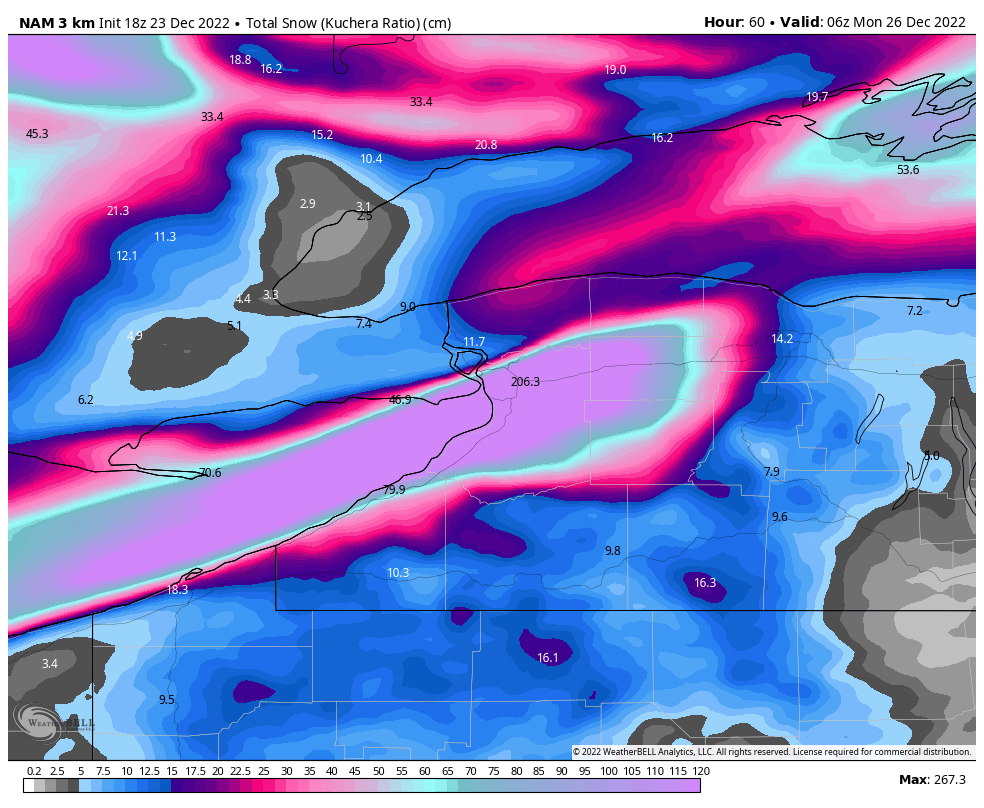 AnthonyFarnell's tweet photo. If the 18Z NAM is right we may not see Buffalo again until the spring. An additional 2 metres of snow would be crazy. BTW THIS NOT A FORECAST. https://t.co/fU6j1djMar