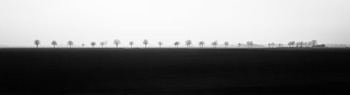 dspusrprf's tweet image. 