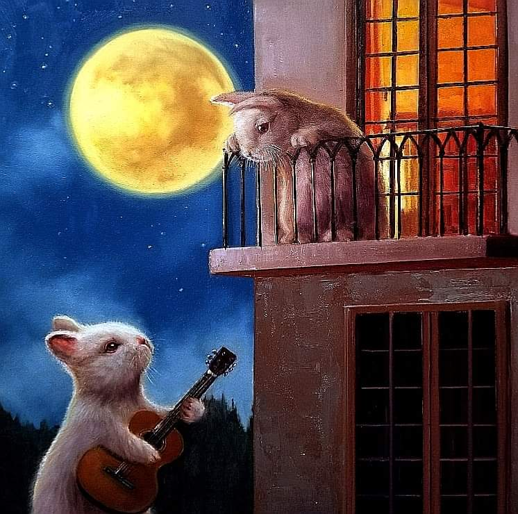 me_im_chloe's tweet photo. this is so romantic https://t.co/ww93ojRwED
