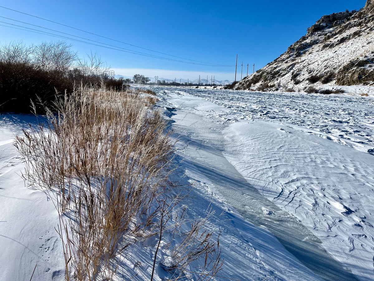 The confluence of the #MissouriRiver moaning and groaning as it submits to the cold and settles in for a partial nap...
#MTwx  #RiverRespite  #Nippy