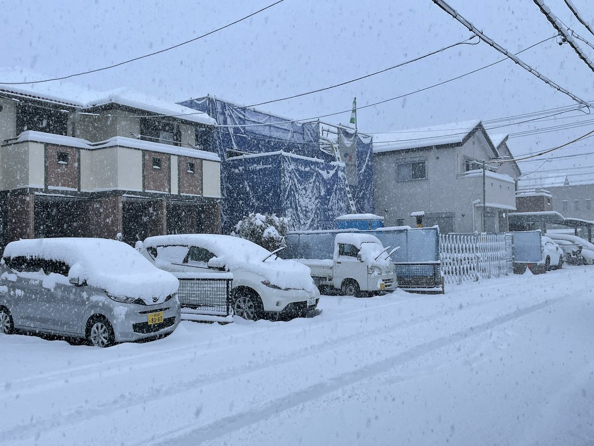 おはようございます✨

今日は僕が住む東海地方にも雪が降るそうです☃️

って、ちょっと降りすぎ👀⚡️

メリークリスマスイブ🎄

#おはようvtuber #vtuber
