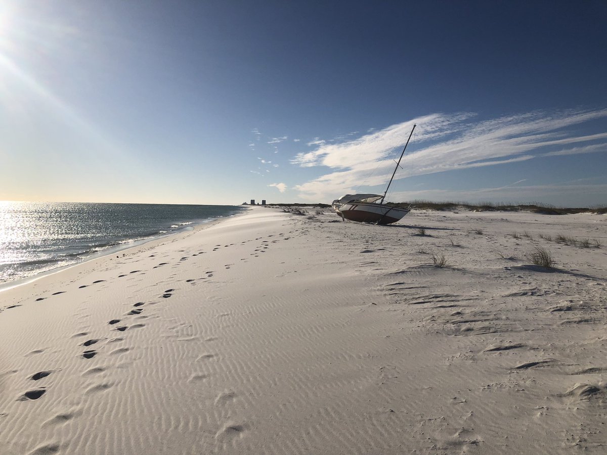 Nancy Danielides tweet media