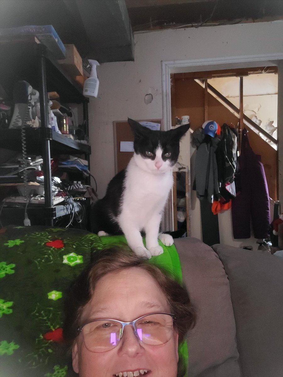 CES1977's tweet photo. @nicolconcilio My daughters kitten. She also has 2 bunnies https://t.co/XcaHklyI0R