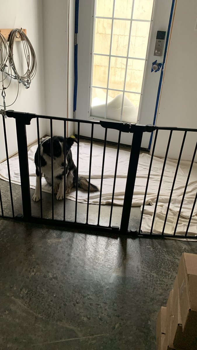 DivitarisS's tweet photo. We have successfully pissed Mother Nature off!
#articblast #frozeneverything #livestock #78thpairofgloves #smellyfarmdoginthehouse:( https://t.co/gOzJG2mAJ0