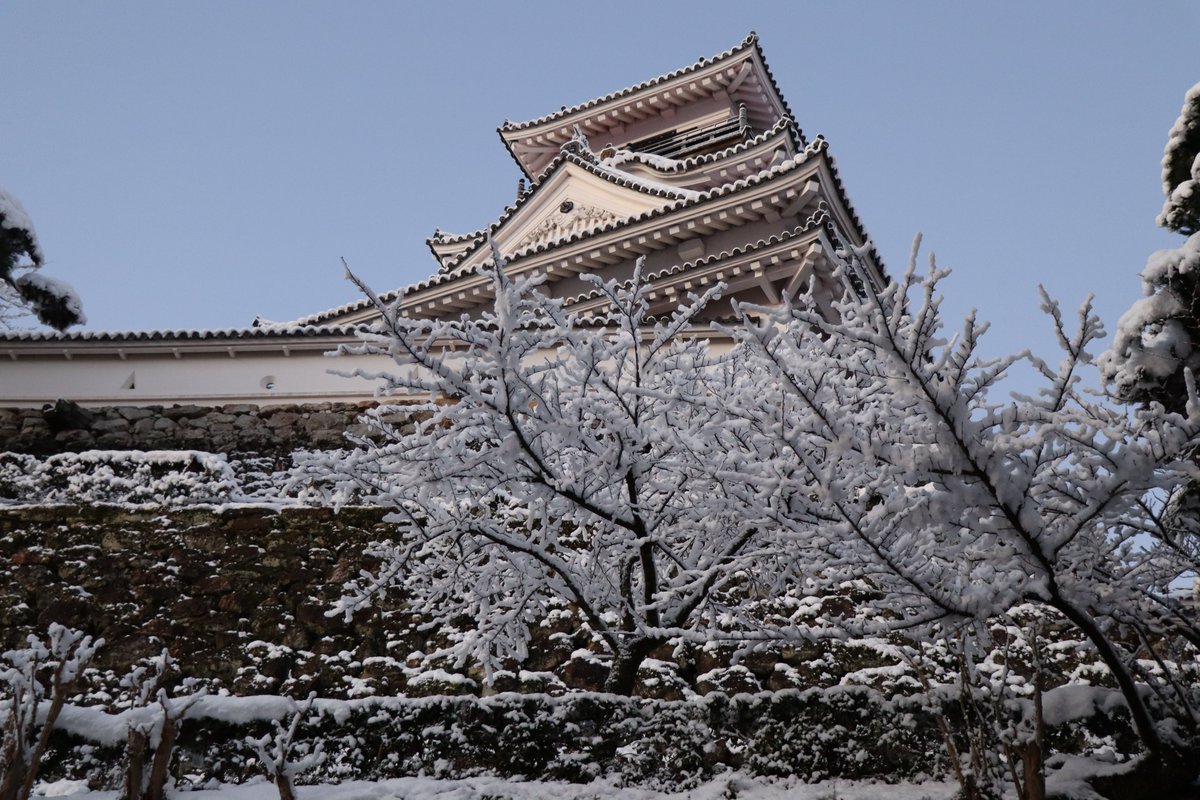 shimamoto_hp's tweet photo. 朝から高知城を散歩しました(^^) #高知城 #雪 https://t.co/NzY0kVjI3d