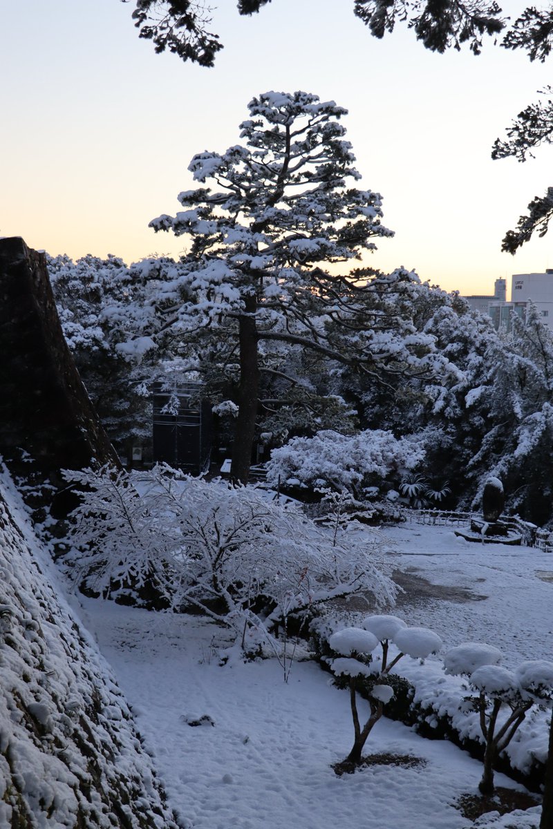 shimamoto_hp's tweet photo. 朝から高知城を散歩しました(^^) #高知城 #雪 https://t.co/NzY0kVjI3d
