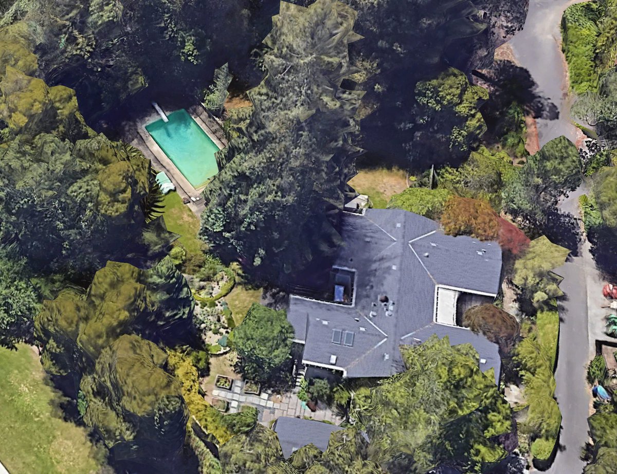 KimDotcom tweet picture
