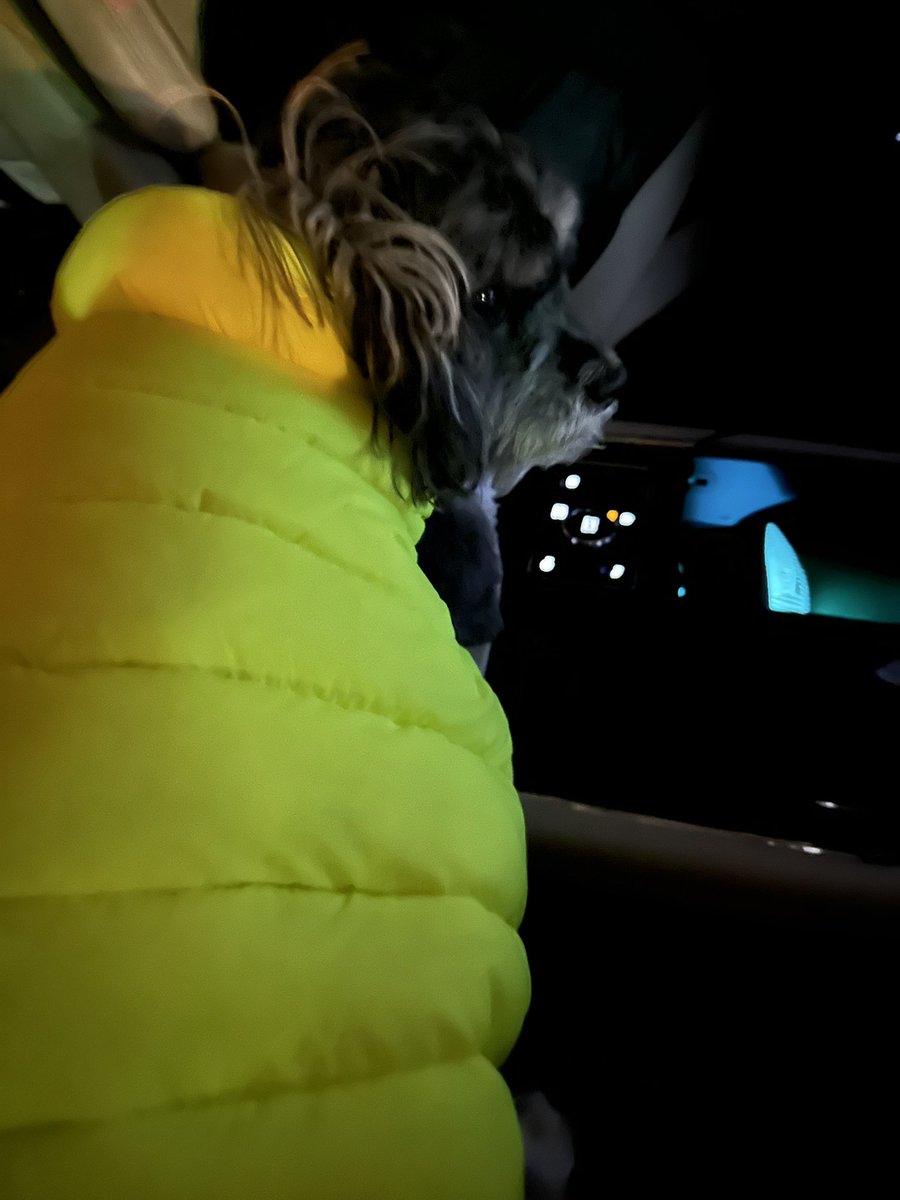 Old Man Winter….catch me if you can!  🤣🤣🤣