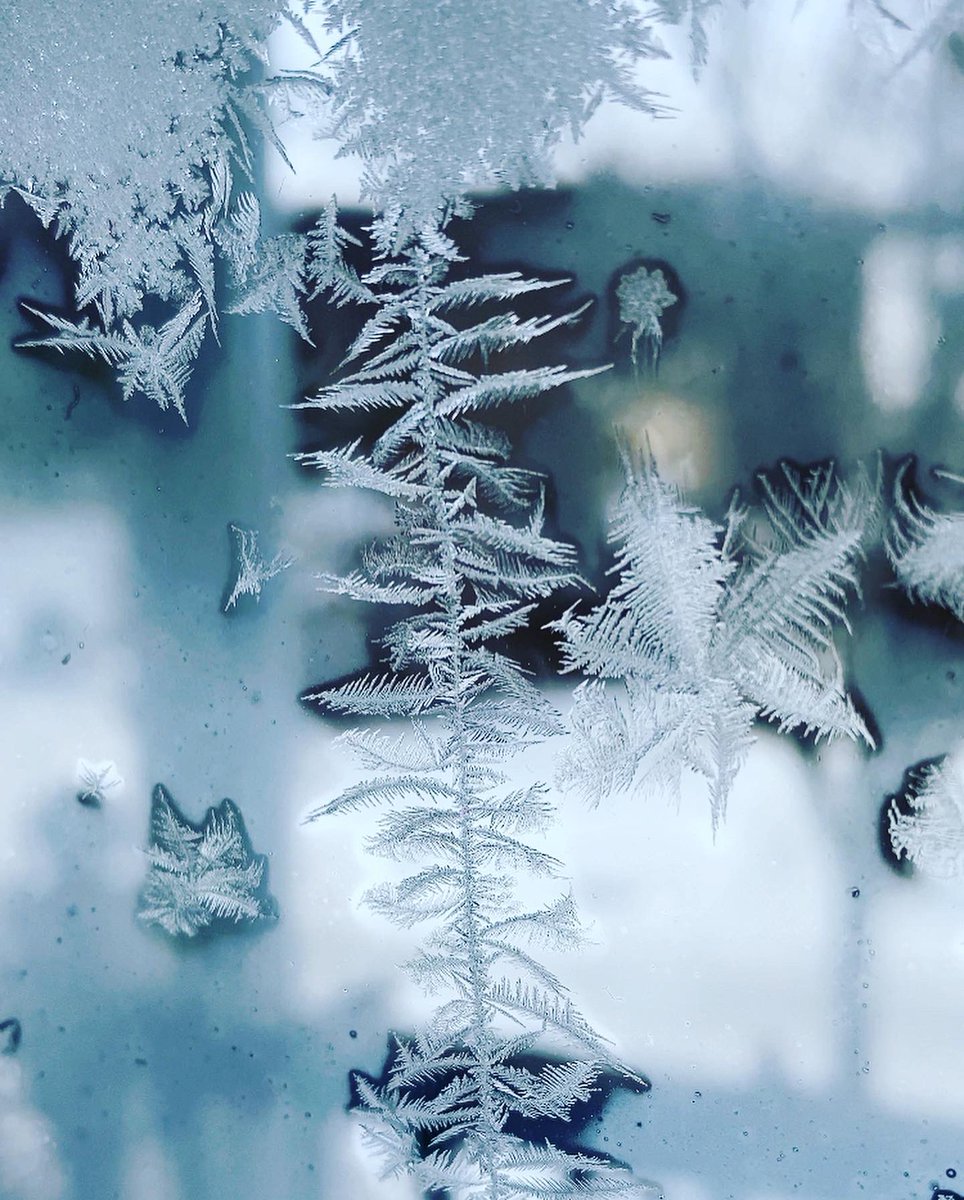 goolander91's tweet photo. 🥶☀️ at sunrise -8°, felt like -30+? 🥶🤬🥶🤬🌬️💨❄️ #stlouis #stlouiswx #stlwx #brr #weather #arcticblast #belowfreezing #windy #snowing #freezing #frozen #negativetemps #midwest #wintersolstice #winterstorm #snowstorm #blizzard #windows #letitsnow #winter2022 https://t.co/yd7hrOnavv