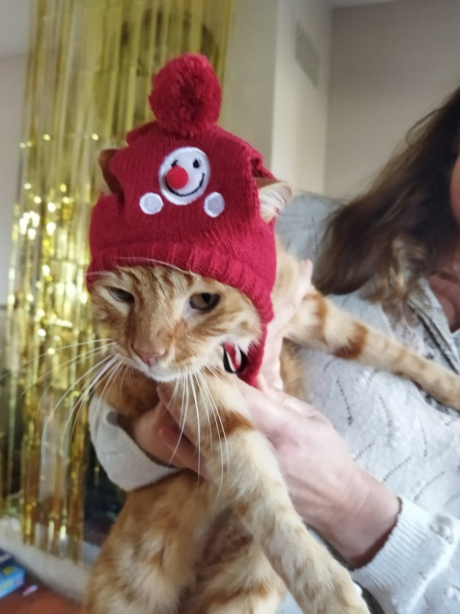 killuhye's tweet image. merry christmas from last year