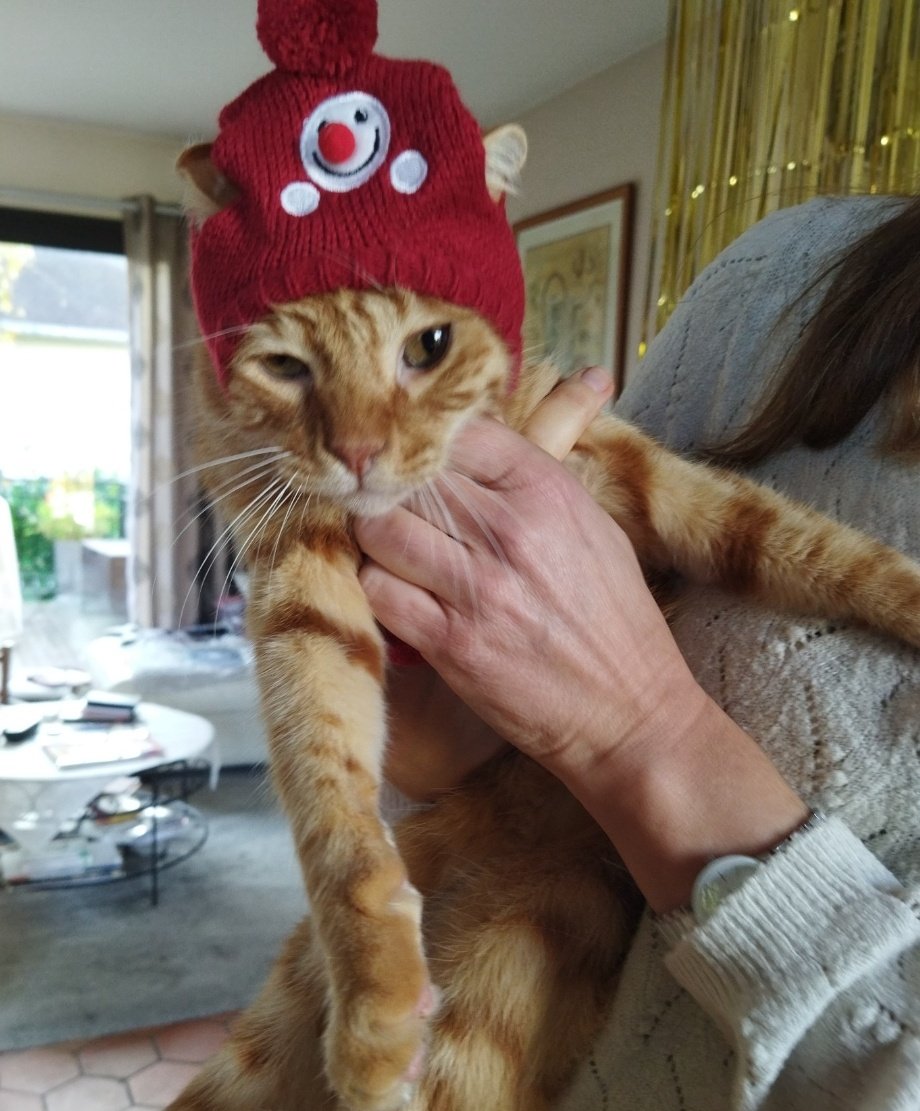 killuhye's tweet image. merry christmas from last year