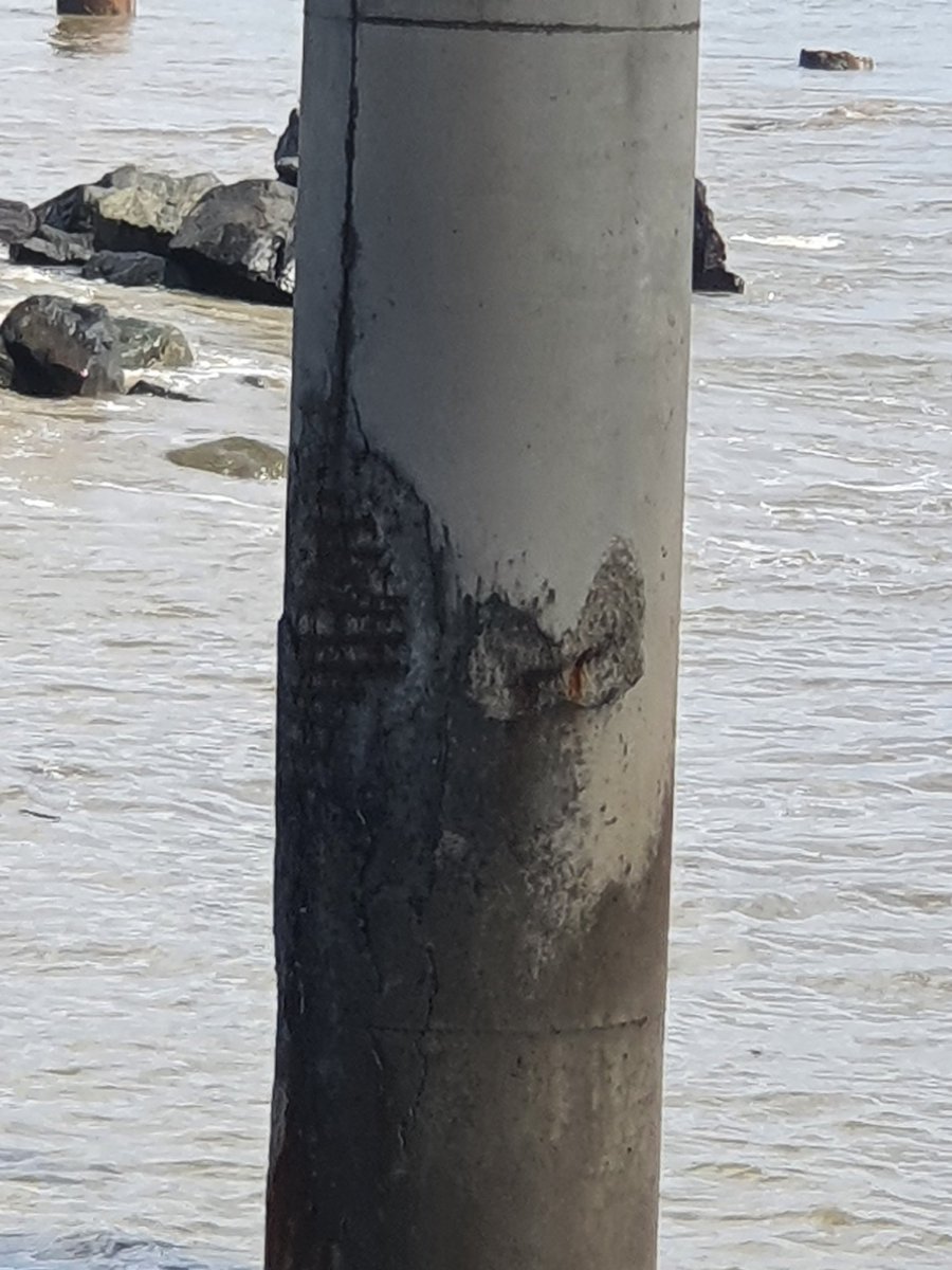 Gianni J. Mercer tweet media