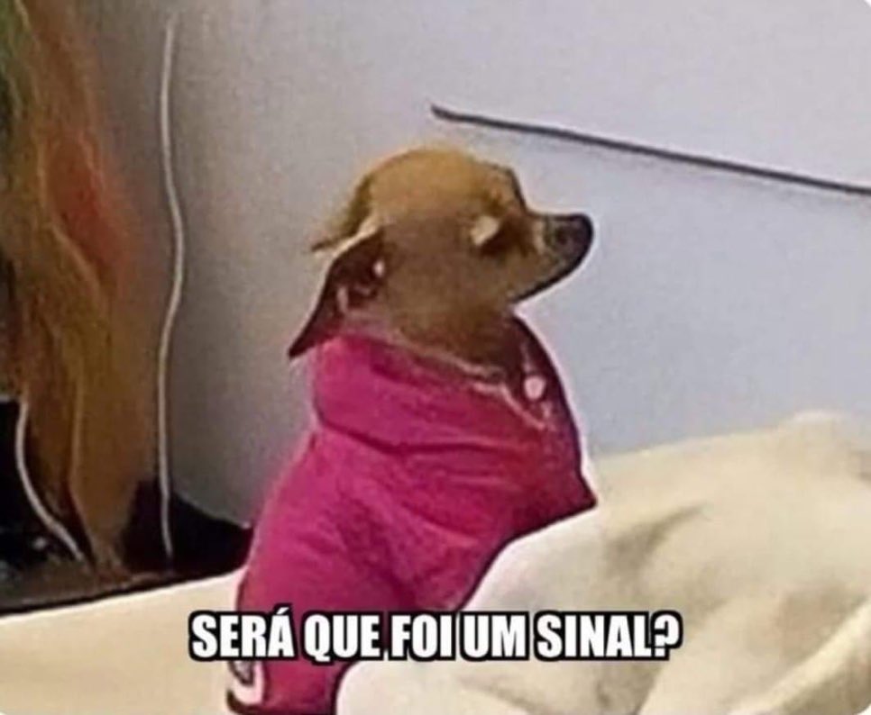 musa dos meme tweet media