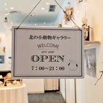 🐈kiraramama🐈❤️🐹のツイート画像