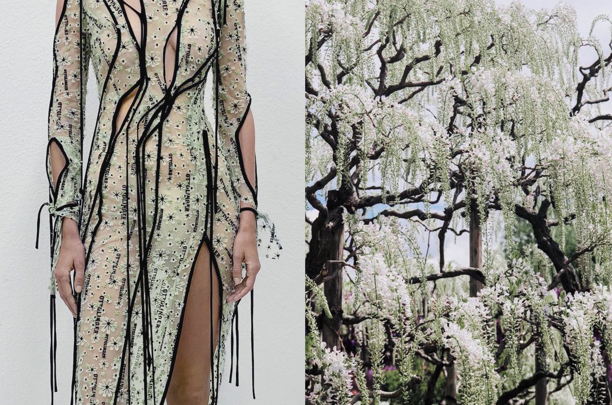 badestoutfit's tweet photo. when high fashion and nature meets https://t.co/v9ijKSkde5