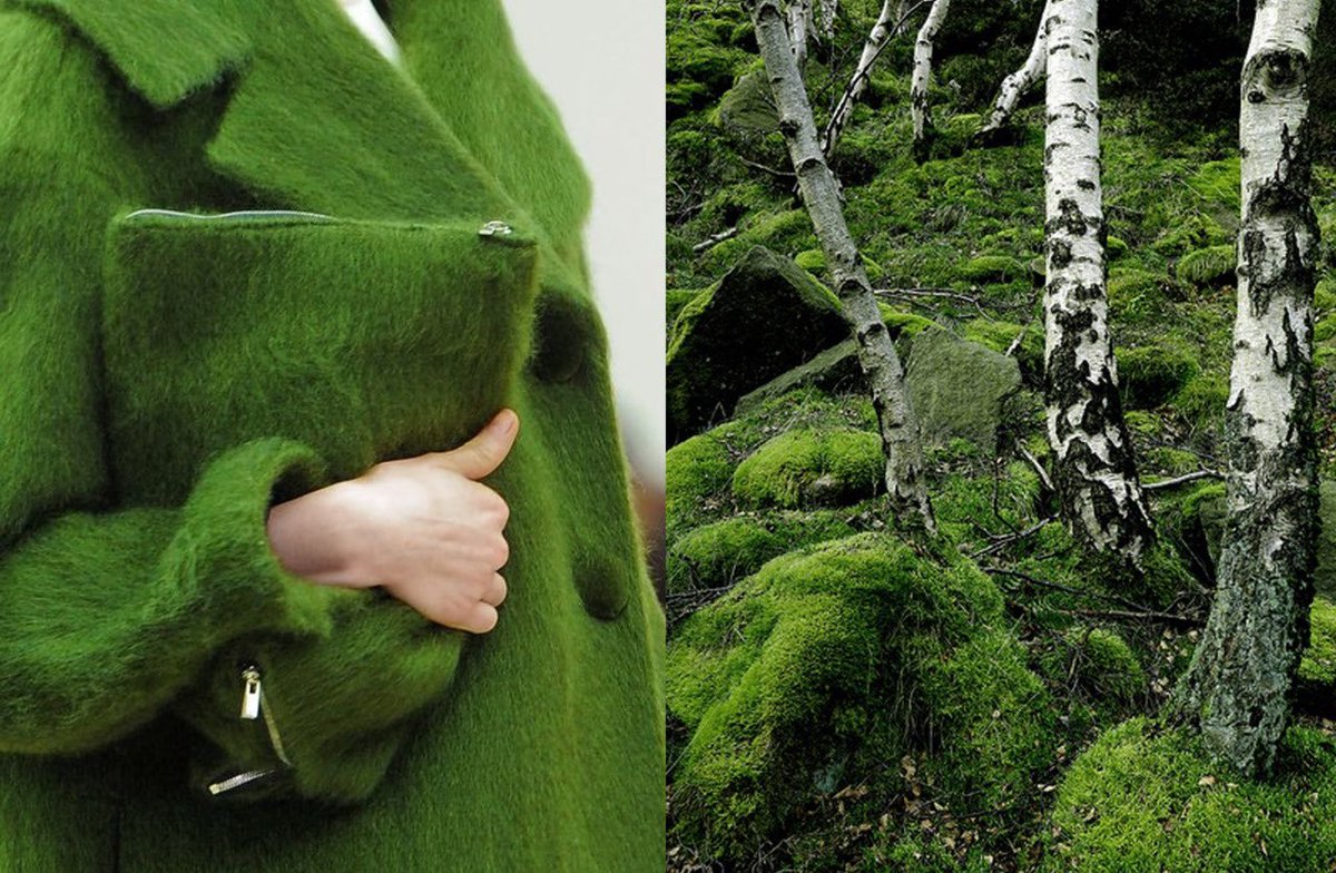 badestoutfit's tweet photo. when high fashion and nature meets https://t.co/v9ijKSkde5