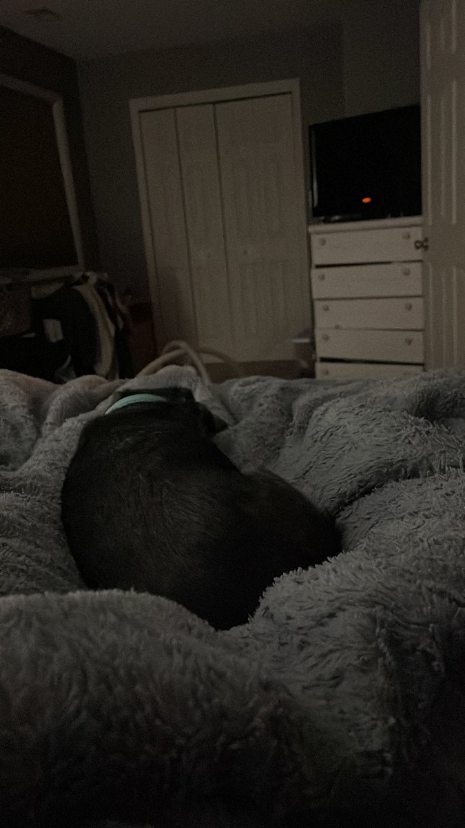 It’s days like these we fight over the animals in the house to sleep with us #PolarVortex