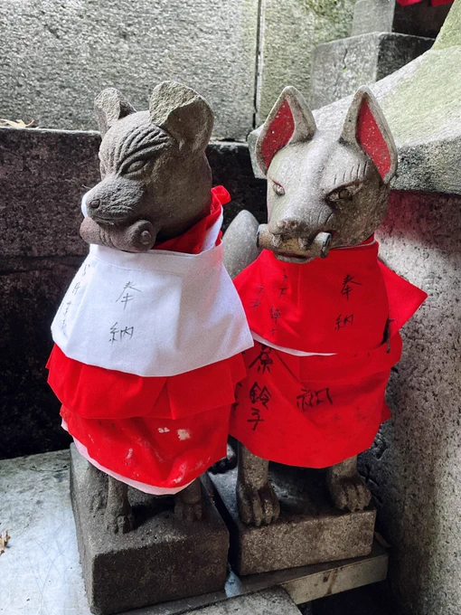 もうほぼお洋服着たチワワ稲荷 