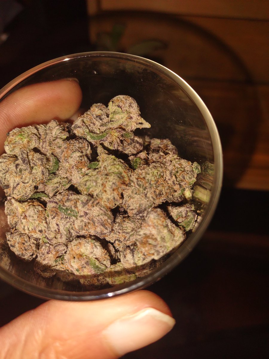 Wolf_Territory's tweet photo. Some beautiful Christmas Tree to help me feel better. Natural remedy is the key. 

#Mmemberville #StonerFam #STONER #420community #Kushmas #CannabisCommunity https://t.co/XSsrAp8dpP