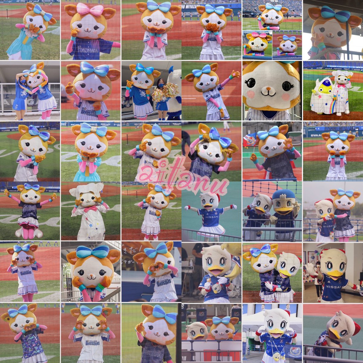 あいたぬ【お取引垢】 tweet media