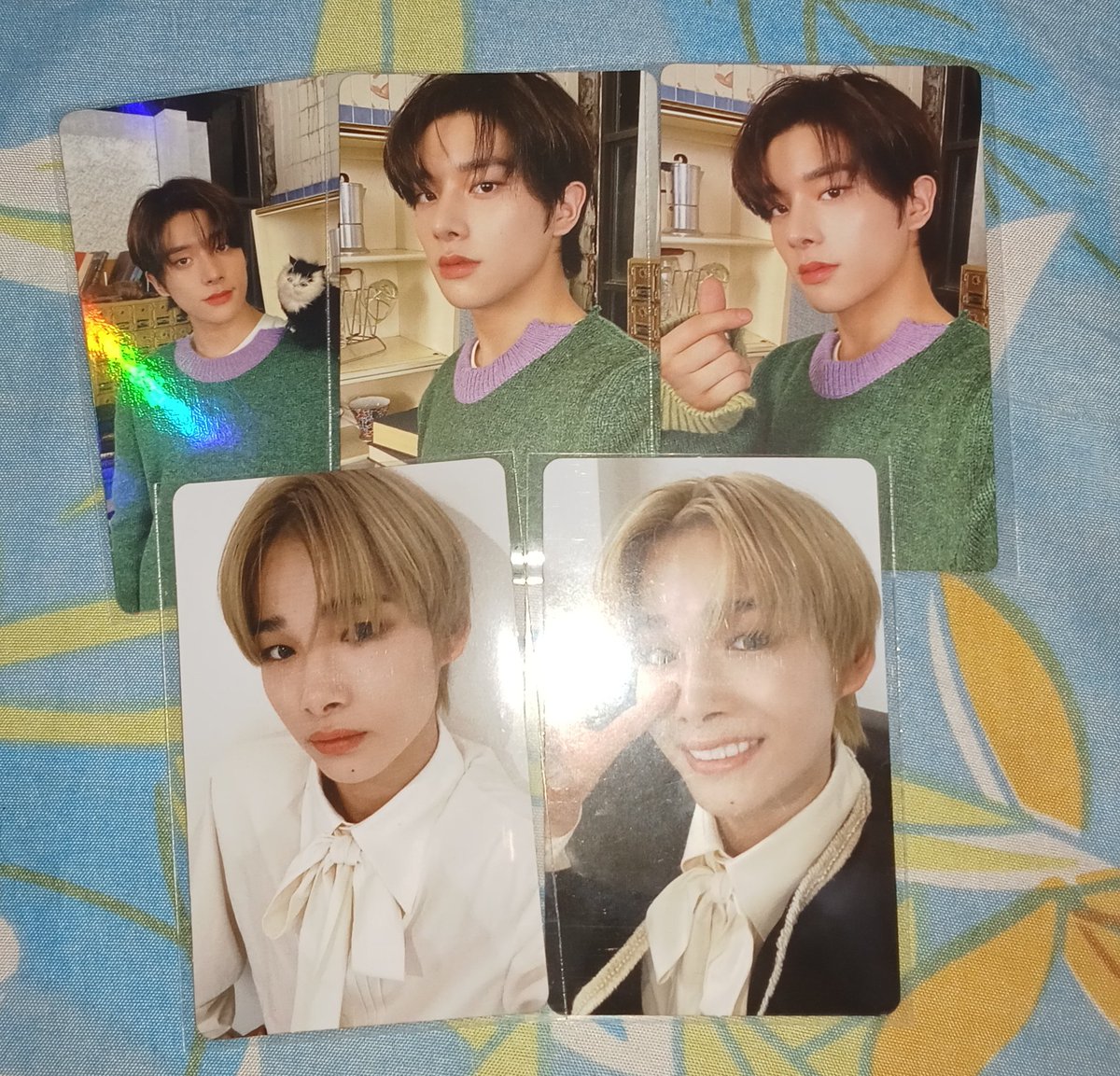 zheeyunki's tweet photo. 💌 . . . ⑅⁠ happy mail ! ( #zhykmails )

hi, @_b1sco ! ni-ki and jake came safely po today 🫶🏻 tysm for letting me adopt them po, till next time ^__^

#tnx_b1sco https://t.co/omdtBpsfT5
