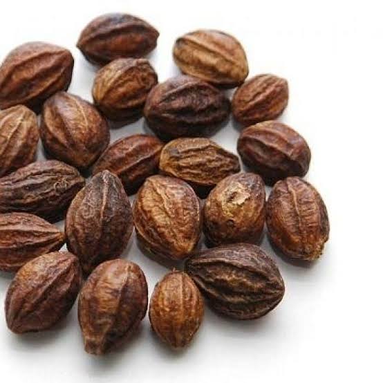 TDevija's tweet photo. கடுக்காய் Terminalia chebula தினமும் காலை கற்பமாக எடுத்தால் என்றும் இளமையாக வாழலாம்.
#siddhaday 2023 https://t.co/qfJUx4J8Hd