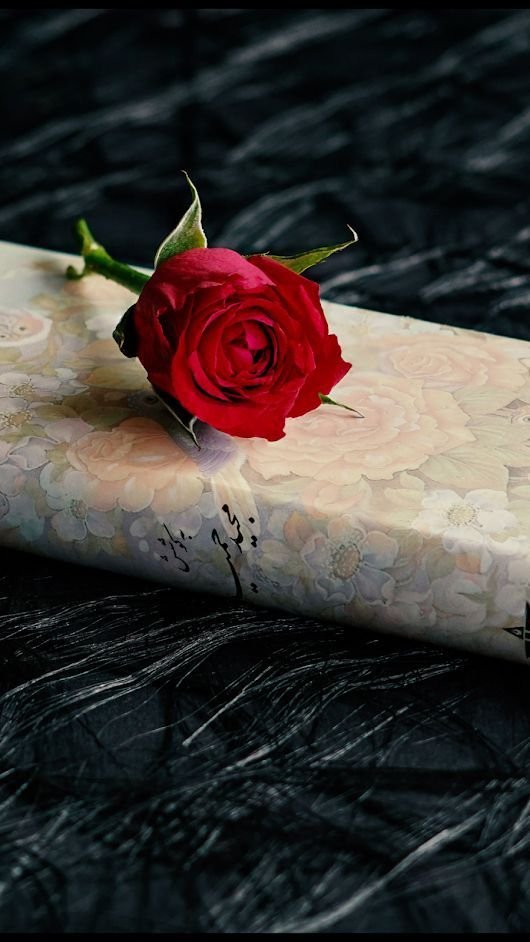 حافظوا على قلوب الطيبين في حياتكم
فلهم قدره على التحمل لا يمتلكها بعض البشر.. لا تفقدوهم تمسكوا بهم فإنهم يرحلون بهدووووء...وان رحلوا لا يعودوا