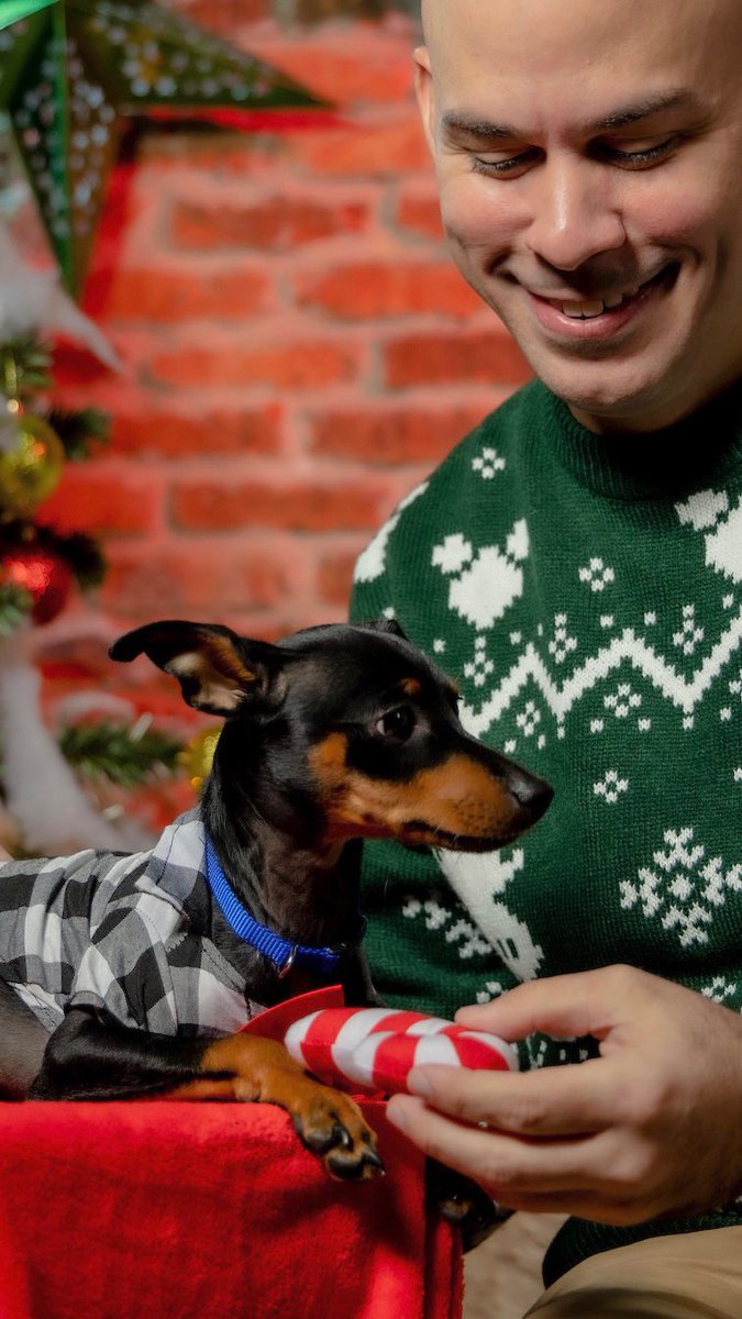 rainpty's tweet image. Mi regalo de Navidad 🎁 🐾
