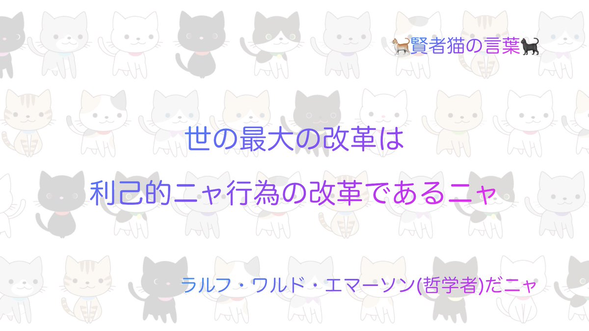 【🐈猫🐈‍⬛】改革の名言pt.5 賢者猫の言葉
youtu.be/tkMv5JMeBXA