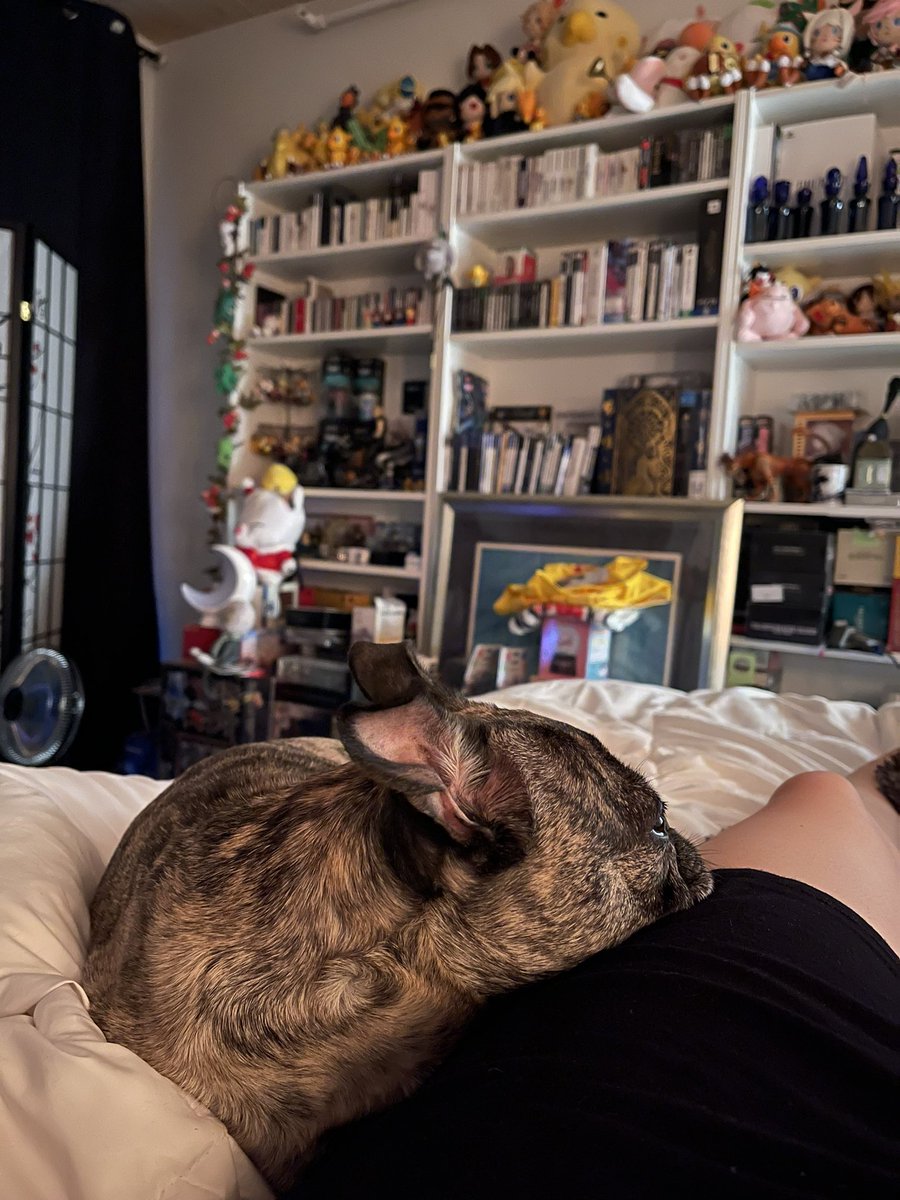 Yunalescka ☾ on Twitter "Update on covid. 56 showers today because I