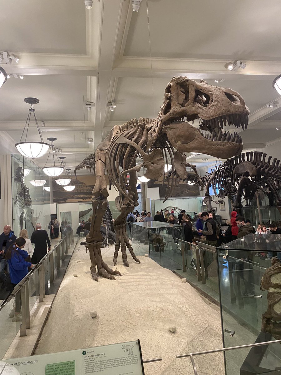 Claire_Connor34's tweet photo. Amazing trip to the #MuseumofNaturalHistory in NY! https://t.co/U0nywr99Xs