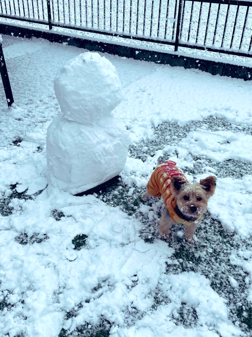 まじ雪とか!さいあくー! 