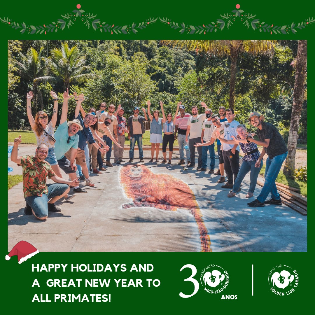 SaveTheGLT's tweet photo. As another year end, Save the Golden Lion Tamarin wants to wish you happy holidays and thank you for your support of our mission. The Associação Mico-Leão-Dourado (#AMLD) team, shown in this photo, wishes all good things in 2023 for you and all primates!
#SavetheGLT #AMLD30years https://t.co/MzvDWAFzrf