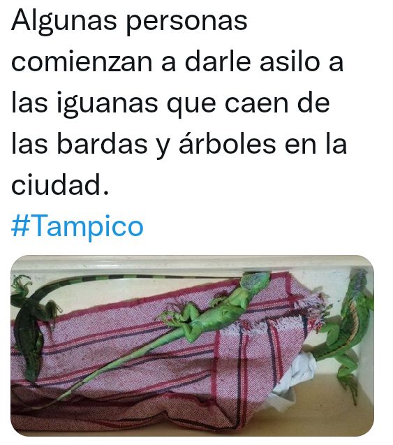 Bien x personas que protegen la fauna