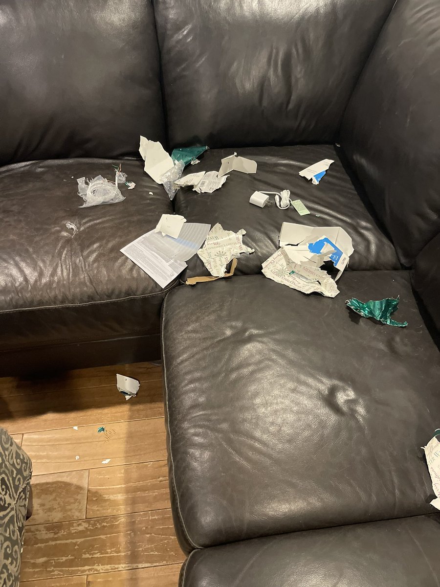 TaylorVecsey's tweet photo. Well, that puts a bit of a damper on Christmas surprise. Our dog destroyed a Christmas present for my husband (@Lutron Caseta Bridge) but little does he know it really was so that the dogs don’t have to sit in the dark when we got home late. 🤦🏽‍♀️ https://t.co/9bY8SWXeNt
