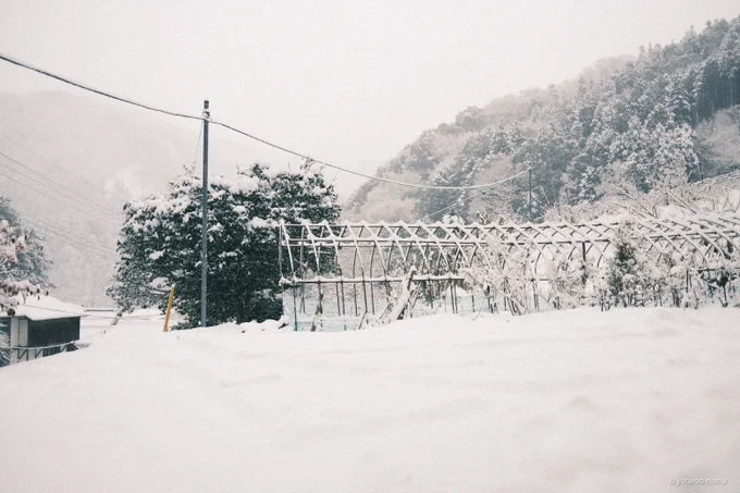さむい〜 