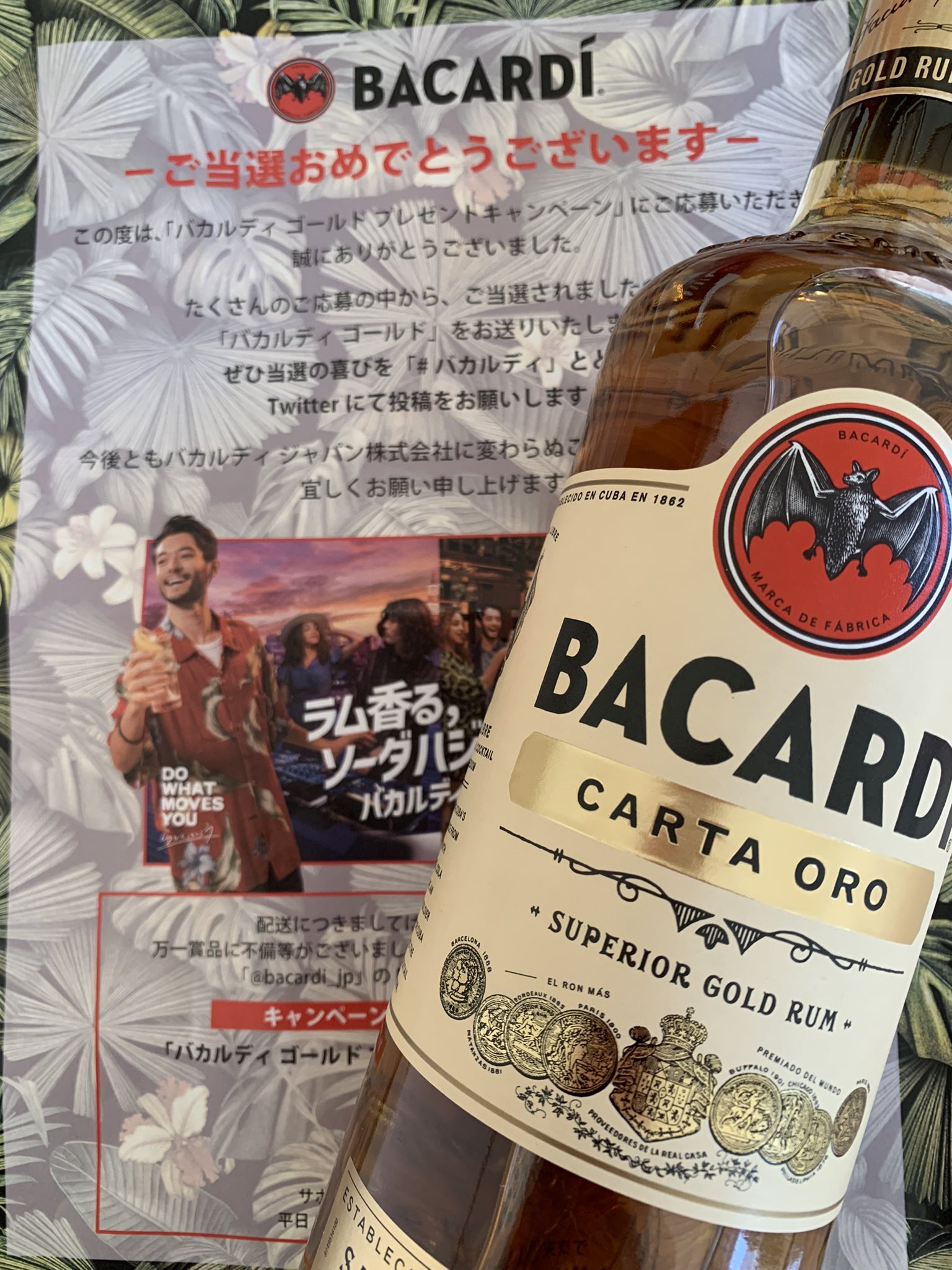 早者勝ち！ BACARDI 電飾 バカルディ フラッグ BACARDI - www