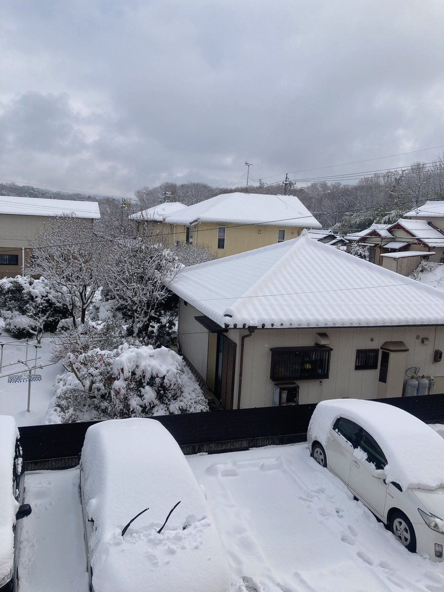 Mevius666_'s tweet photo. エグすぎわろた(´^ω^`)
こっちの地域で過去一積もった https://t.co/fkWo5EpVKT
