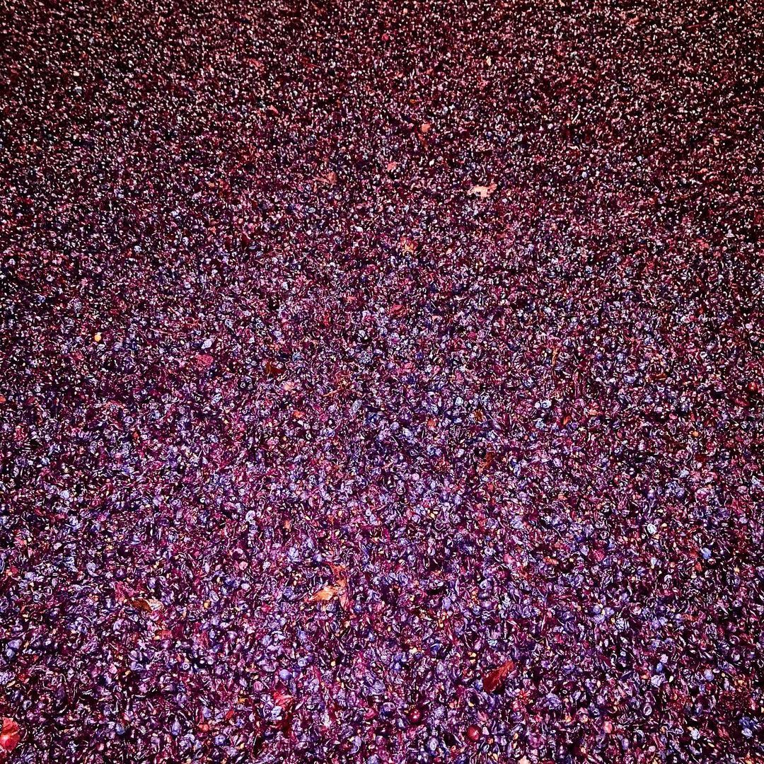 Winemaking, what a beautiful site. 

via IG araik__manukyan