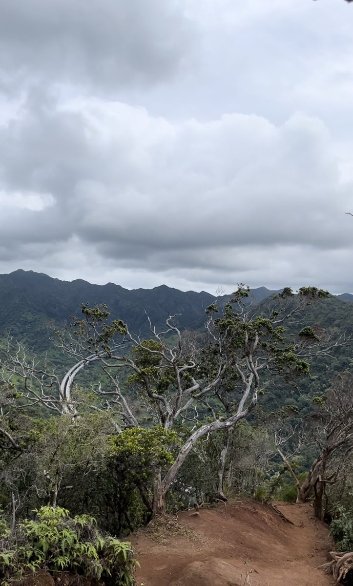 malena_jasmine's tweet photo. Hike, beach, repeat π. #CurrentSitutation https://t.co/U1jwY17AGv