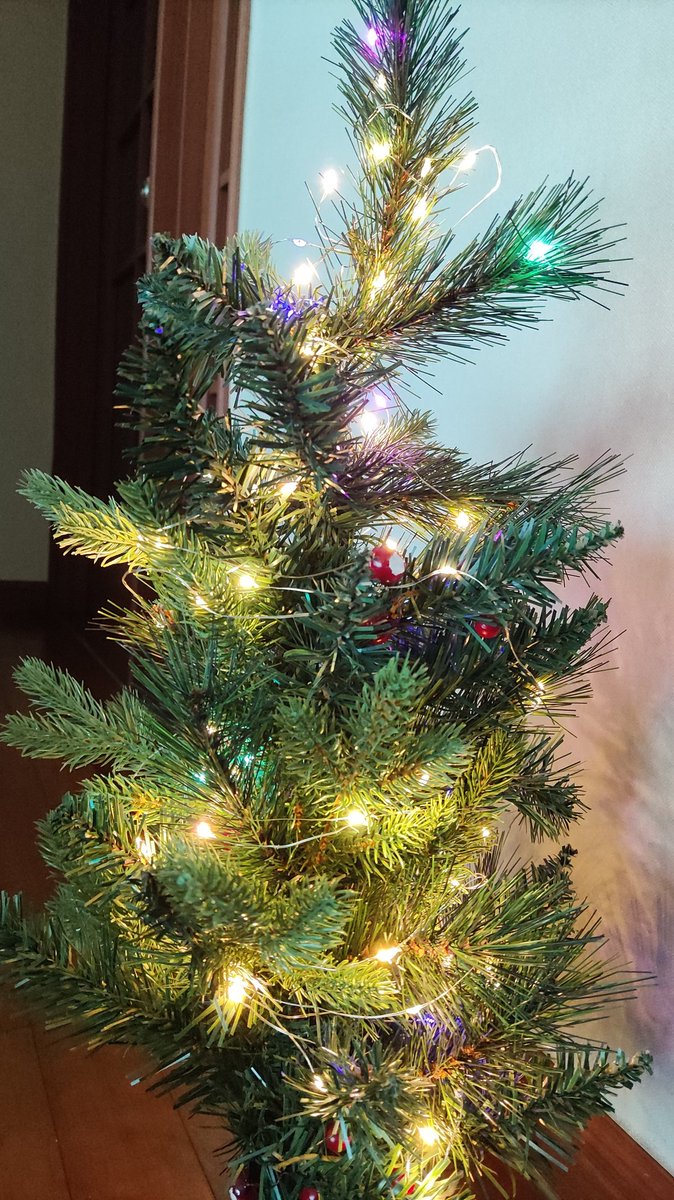 damultao's tweet photo. Merry  Christmas ! https://t.co/Q1fLg3n86O