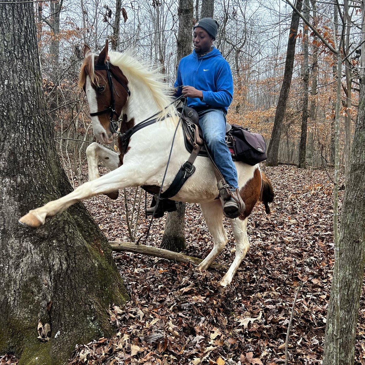 jay_savage27's tweet photo. Feels good being back home on my pony for a few weeks! https://t.co/xoj23zJGc8
