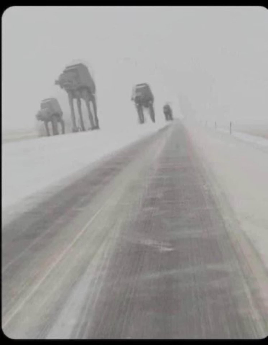 SapioSiren's tweet photo. Meanwhile, in Southern Minnesota https://t.co/d2HVyjlXde