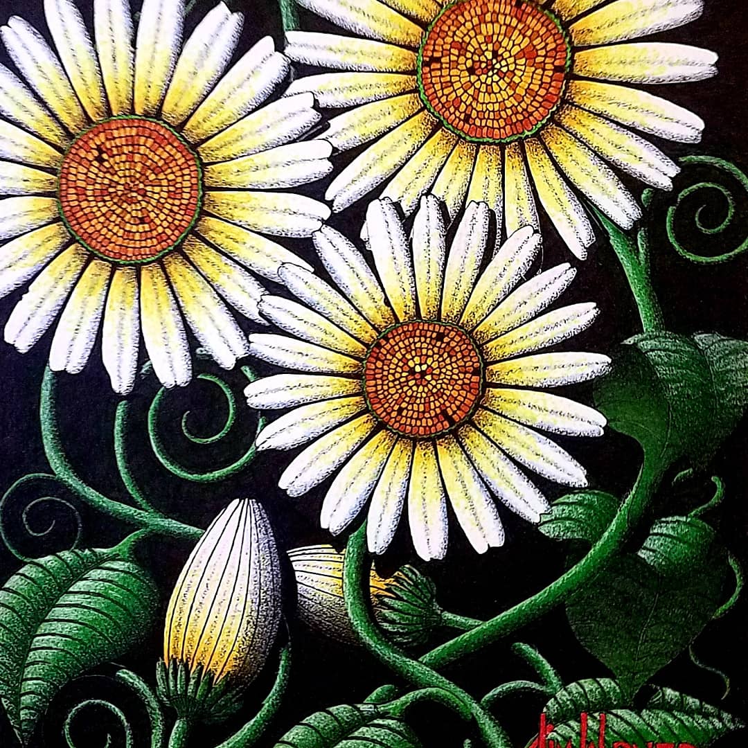 jdwarner17's tweet photo. @WendJ1972 If want to feel free to use one of my drawings for your next tattoo...I would be honored if you use it. https://t.co/DBTEnJGY03