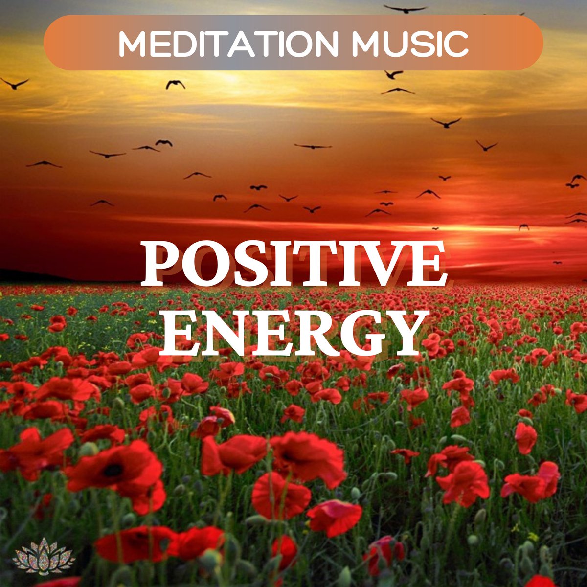 InnerPeaceThpy's tweet image. MEDITATION Music for POSITIVE Energy

youtu.be/hoj6GyMGsRc

#innerpeacesoundtherapy #innerpeace #positiveenergy #relaxation #meditation #sleep #weekendvibes #weekend #soundtherapy #nature #flowers