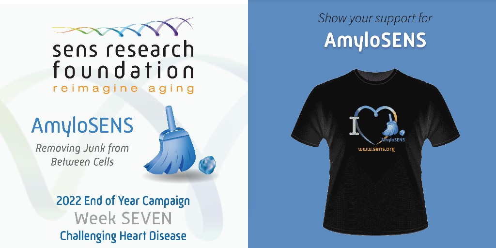 LifespanRI's tweet photo. Help keep grandma and grandpa stay sharp by fighting the diseases of aging! Treat yourself to our AmyloSENS tee!
#amyloSENS #alzheimers #endingaging #SENS #SENSresearchfoundation
https://t.co/YY57wMJnV5 https://t.co/VNjuv8LgUo