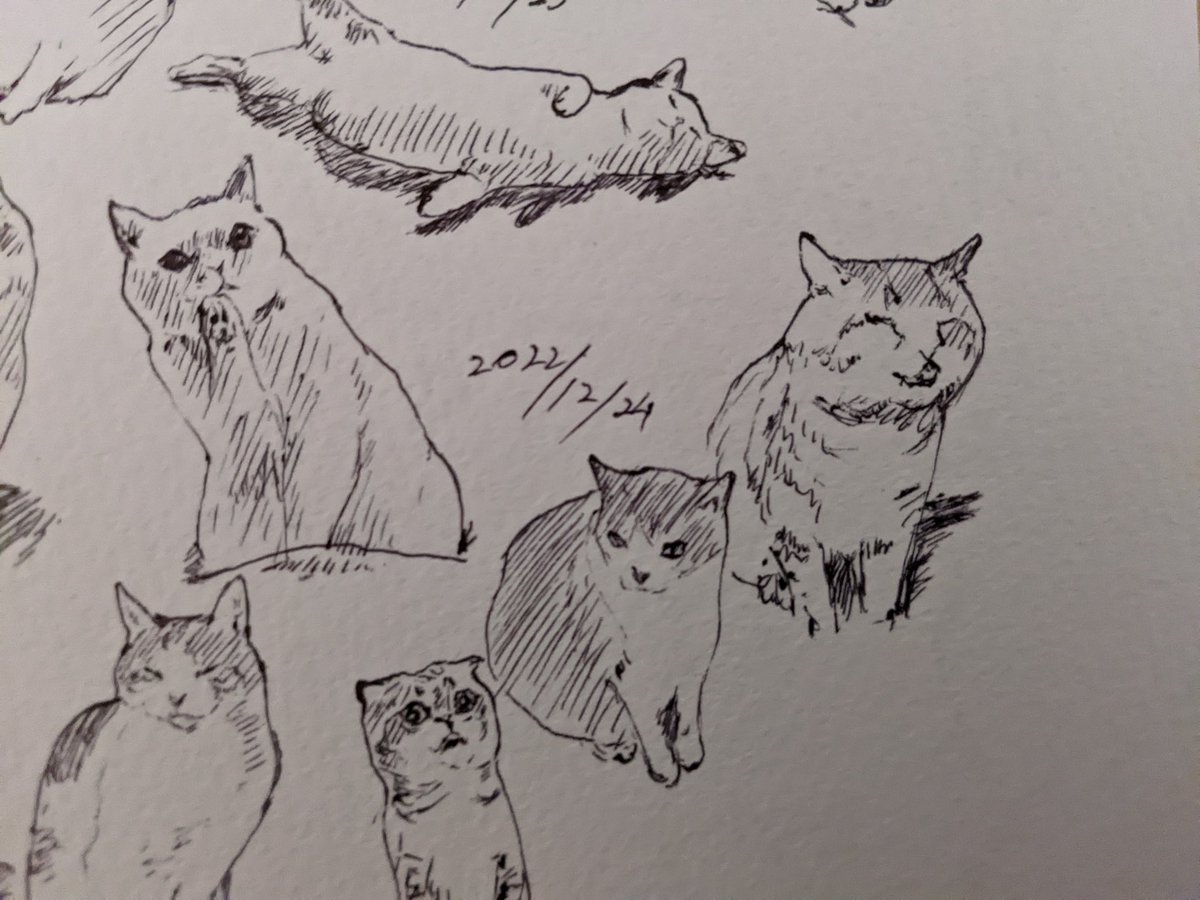 スケブのスタッフのみなさん、昨日からお疲れ様です、寒いケド頑張って カキカキ。 